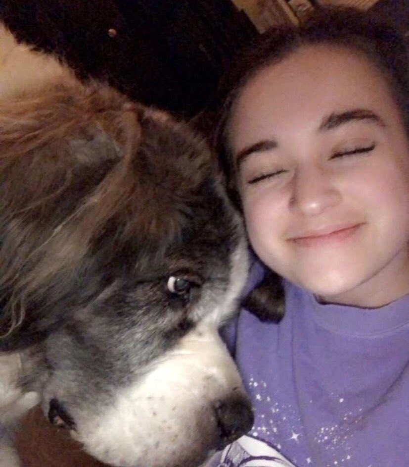 hannahjanecurry's tweet photo. Let’s make a cute and wholesome thread. Reply with some pictures of your pet(s)🐱🐶 #GoodVibesPost https://t.co/SrcU7qBkOc
