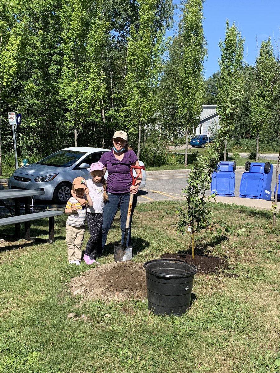 BirchwoodQC's tweet photo. Phase 2 complétée! Phase 2 complete! Thank you everyone, merci à tous! 🌸🐝💕#lbpsbDL #community #growlearning https://t.co/T7mVCMFw9f