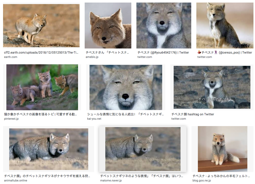 The name of Chibesuna チベスナ from Koshikake Village comes from