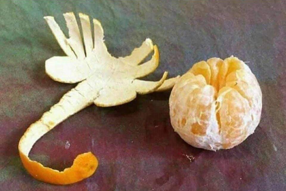 FatherRedMcgee's tweet image. 2020 keeps getting worse