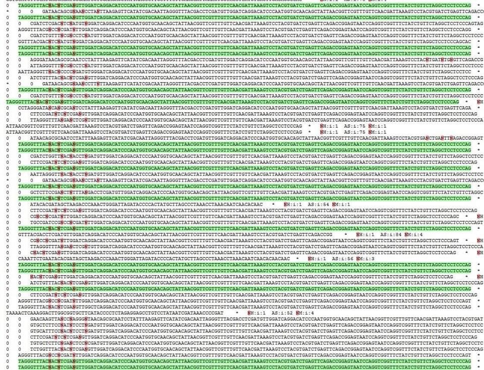 6) supported by the RaTG13 RBM being “lost by recombination” (e.g. overwritten on a keyboard).  https://europepmc.org/article/PPR/PPR153377The “swab” sequence of RaTG13 displays the hallmark of a PCR reaction on a sample with little to no RNA