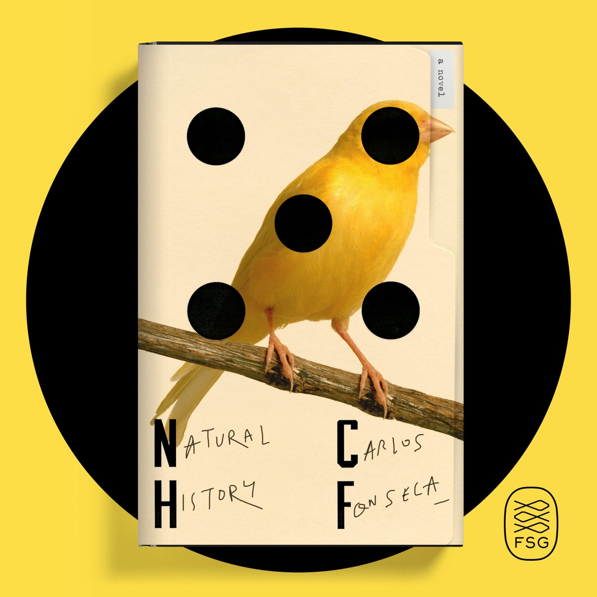 Farrar,Straus&Giroux (@fsgbooks) on Twitter photo Tonight!! <a href="/Powells/">Powell's Books</a> presents NATURAL HISTORY author Carlos Fonseca in conversation with his translator Megan McDowell!
zoom.us/webinar/regist… Tonight!! <a href="/Powells/">Powell's Books</a> presents NATURAL HISTORY author Carlos Fonseca in conversation with his translator Megan McDowell!
zoom.us/webinar/regist…