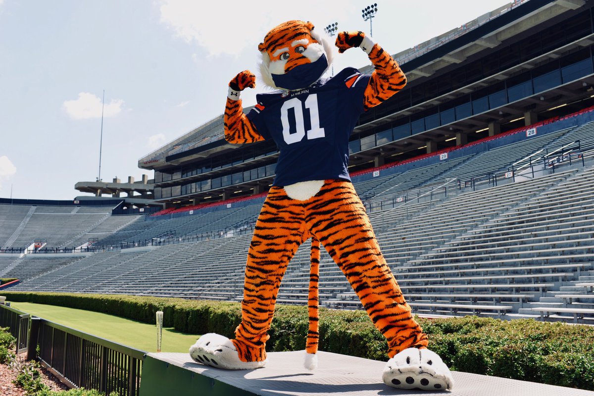 AubietheTiger01's tweet photo. Stay Strong 💪 and Wear A Mask! 😷 
#WarEagle #StaySafeStayStrong https://t.co/EzqCehV8ld