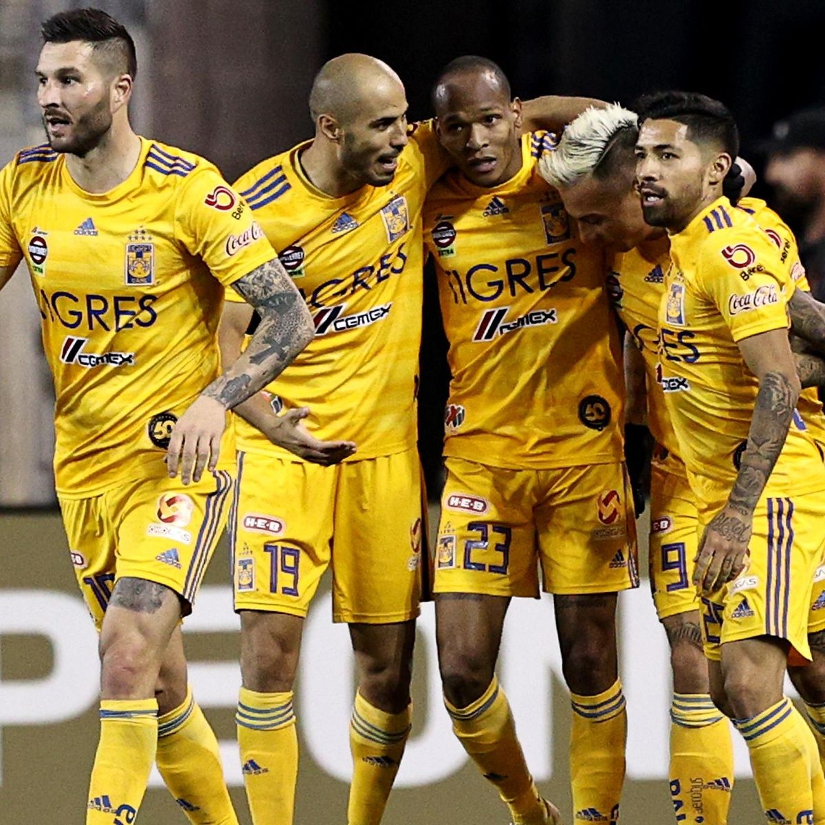 Mariachigama's tweet photo. #VolcánLleno
@TigresOficial
@adidasMX
#EstoEsTigres 
Celebrando gol!!! https://t.co/LuF0VEGBUS