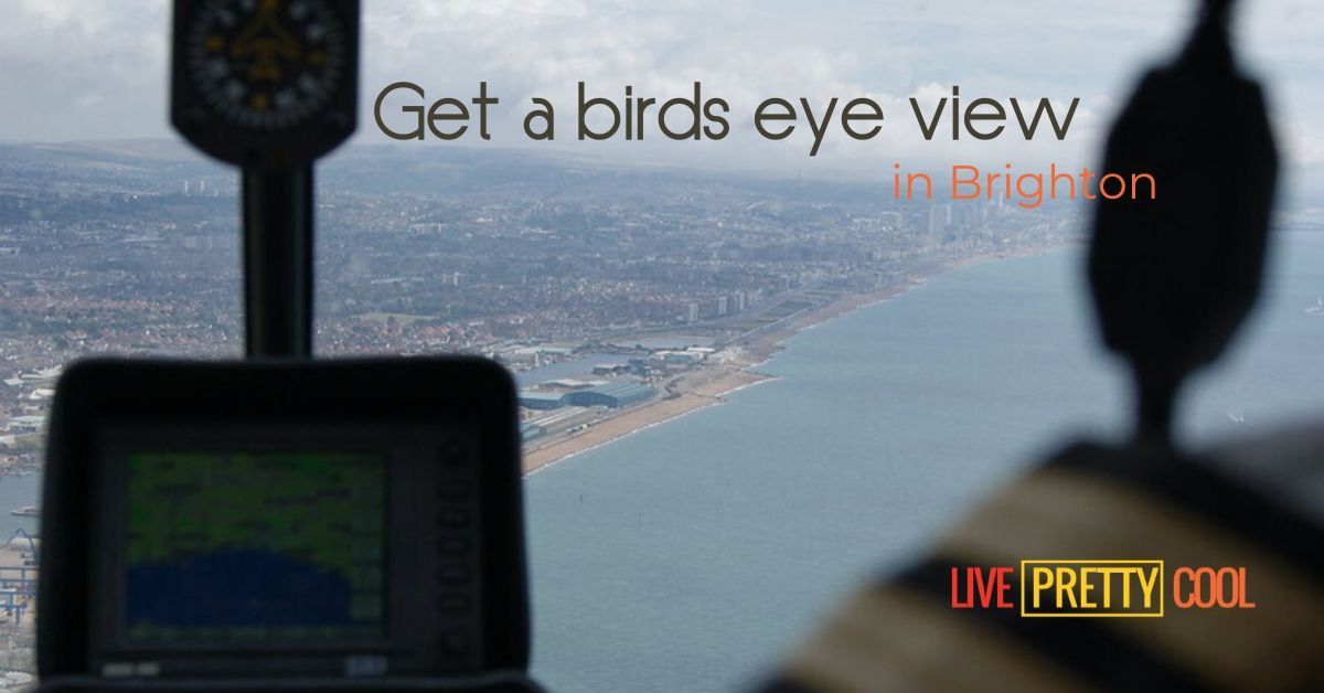 Pretty Cool Things to Do in Brighton tweet media