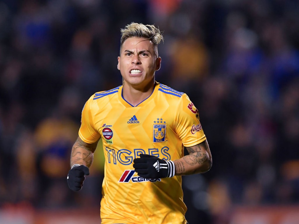 Mariachigama's tweet photo. #VolcánLleno
@TigresOficial
@adidasMX
#EstoEsTigres 
Edu!!! https://t.co/rDYzt5XNx0