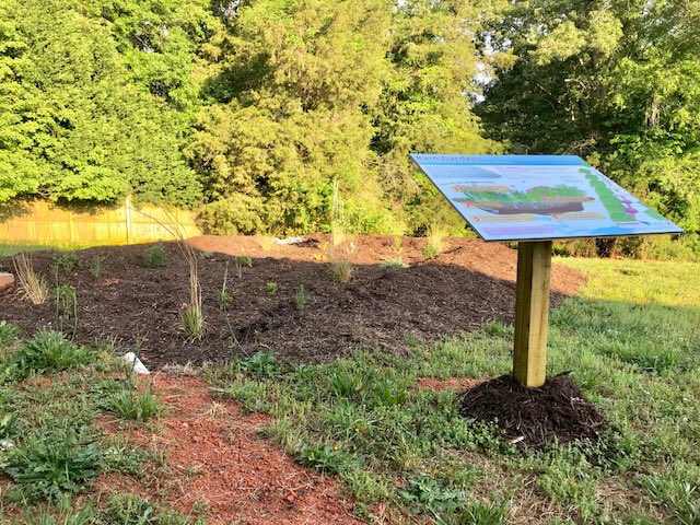 ARJWater's tweet photo. Rain garden all grown up two years later. Adding value to the earth and lawns through stormwater filtration and beautification. Now the first stop on our tours. #SourceWaterProtectors https://t.co/RZCvZOpHtk