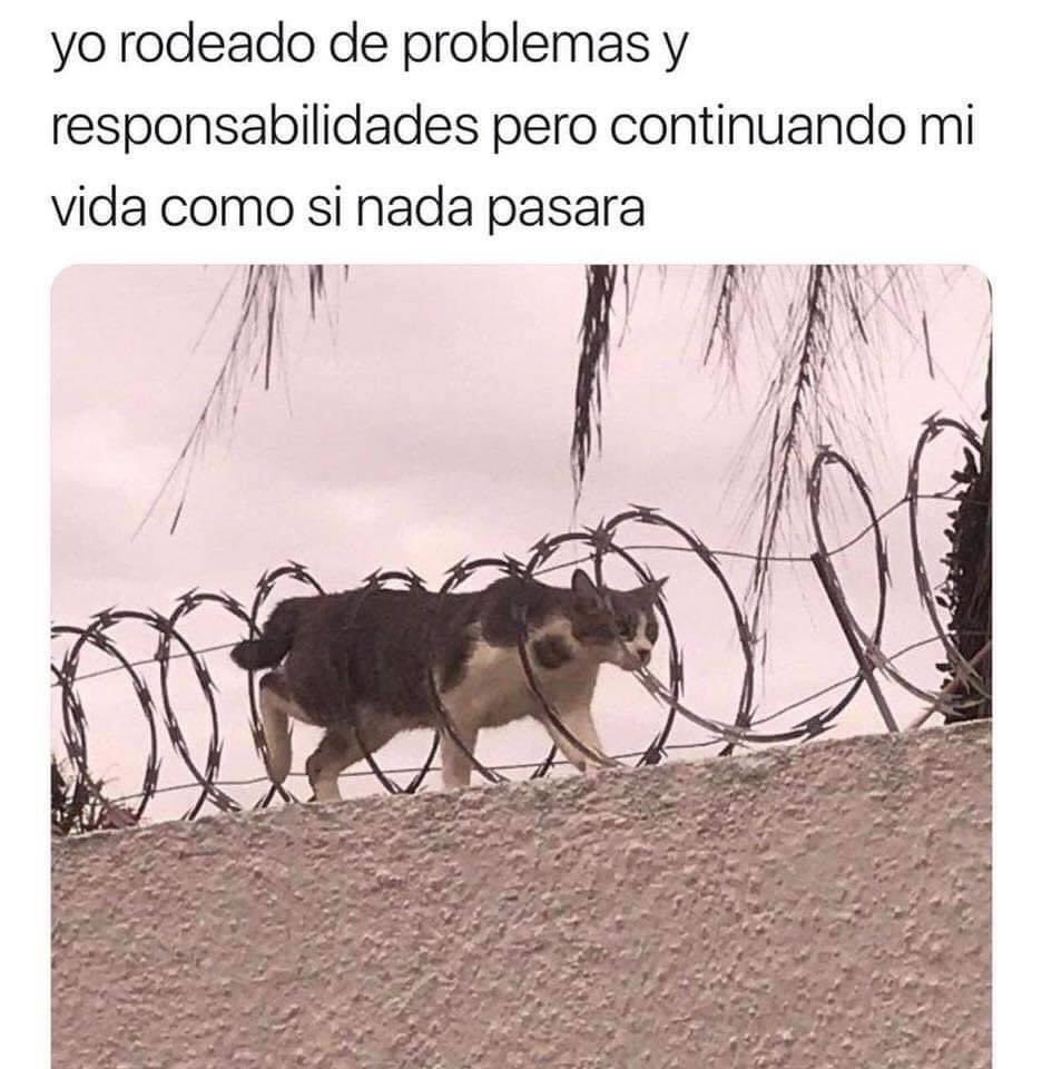 fanny_olivares's tweet photo. Estatus actual de mi vida... https://t.co/0yXBR4noHv