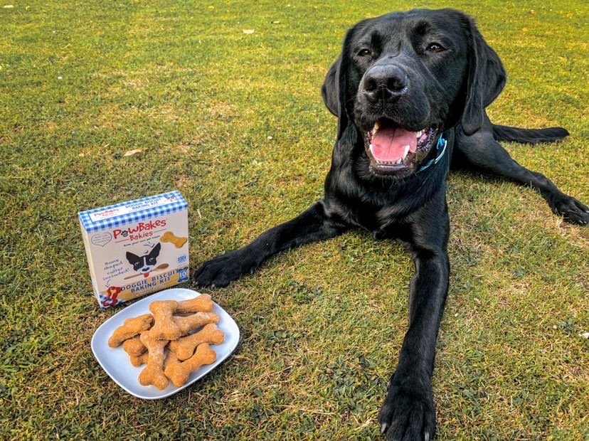 Big smiles for the camera as I know I’ll be rewarded with one of my homemade biscuits 😋 #PoseForTheCamera