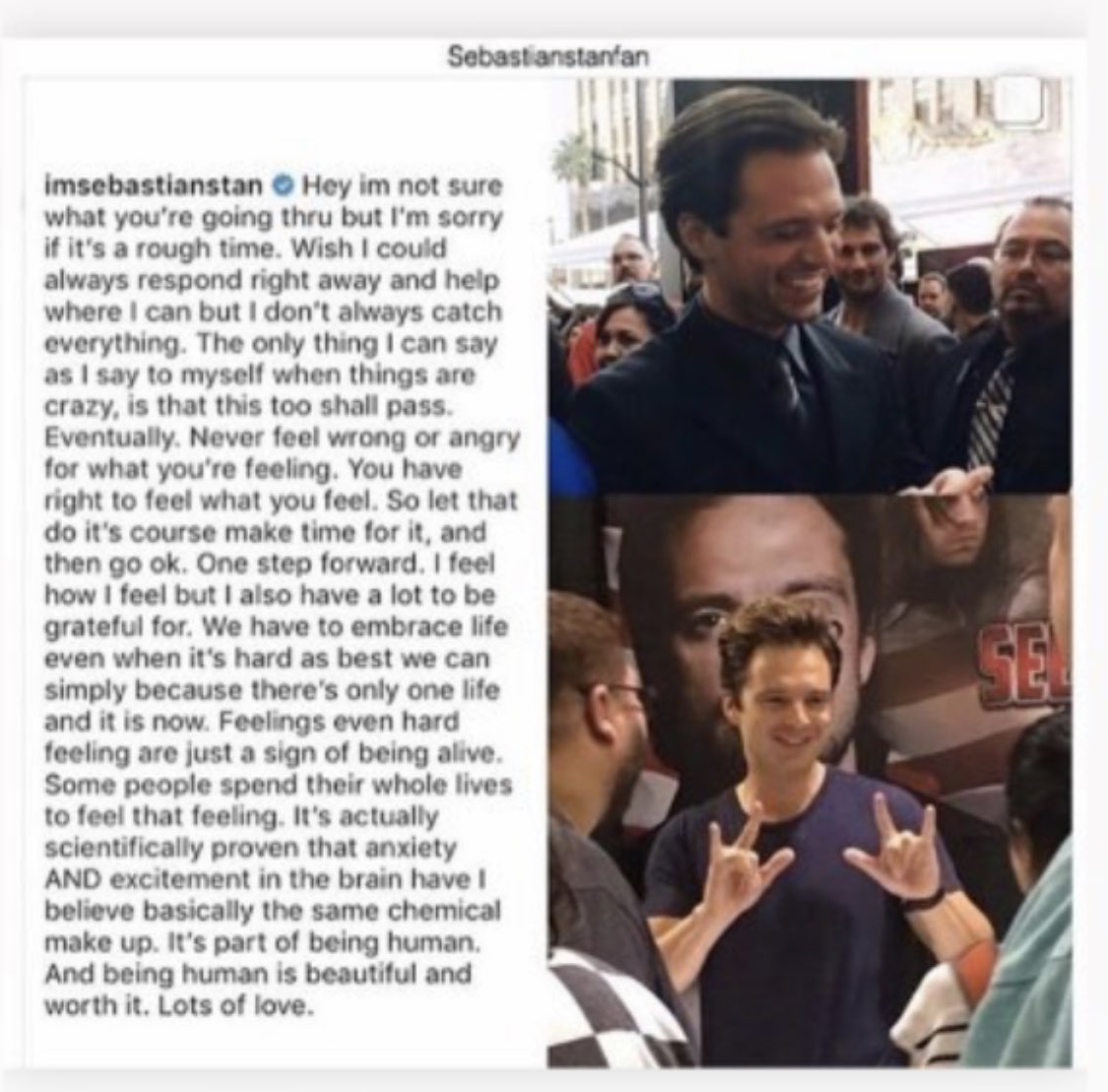 MoonlightsMuse's tweet photo. This is our Sebastian. Being the sensitive, caring soul that he is. Not who he’s being made out to be by insecure jealous haters. 

#WeLoveSebastianStan
#DontKickTheRomanianPuppy https://t.co/9Xhq8qLMxF