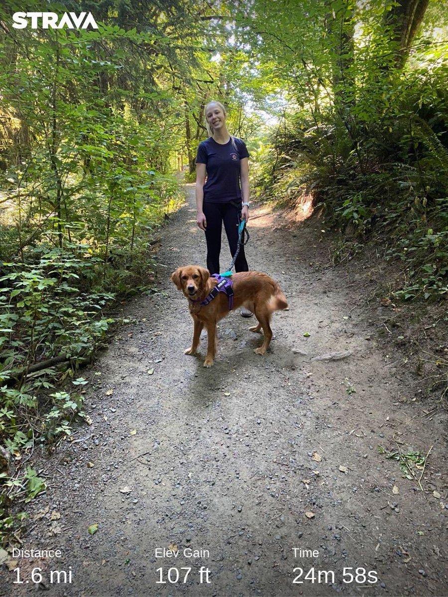 katechagnon's tweet photo. Got up early and ran 6 miles for my training plan and then went out and enjoyed a hike/run with my niece in an awesome trail run. Love to share my enjoyment of hiking with my niece. ❤️❤️ @TeacherFit_ https://t.co/PQ5brJrSWV