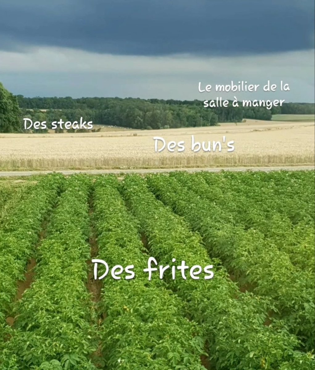 Benj' Thi🇫🇷🍎🥔 tweet media