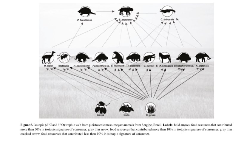 Ec_QakwU8AIYPa1?format=jpg&name=900x900