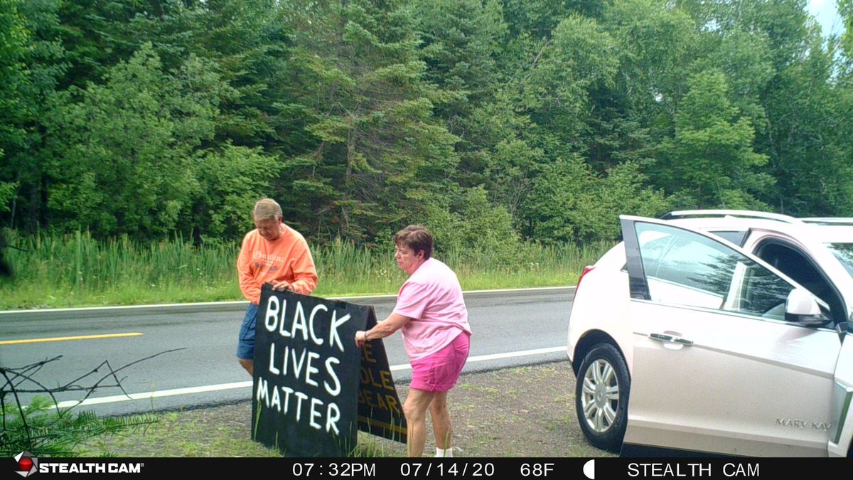 aaronklemz's tweet photo. Hey @MaryKay - why are folks driving Mary Kay cars damaging and defacing "Black Lives Matter" signs in Cook County, Minnesota? (Pic taken by a trailcam set up by a landowner on the Gunflint Trail.) https://t.co/fNLFP0pxzK