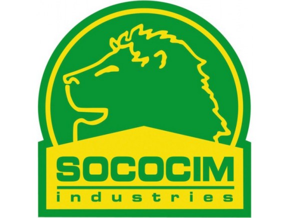 Producteur d'arachides dans le Saloum (centre), il s'est ensuite intéressé à l'industrie (huilerie et tomate conservée) avant de devenir actionnaire majoritaire dans l'unique cimenterie du pays à l'époque, la SOCOCIM à Rufisque. 