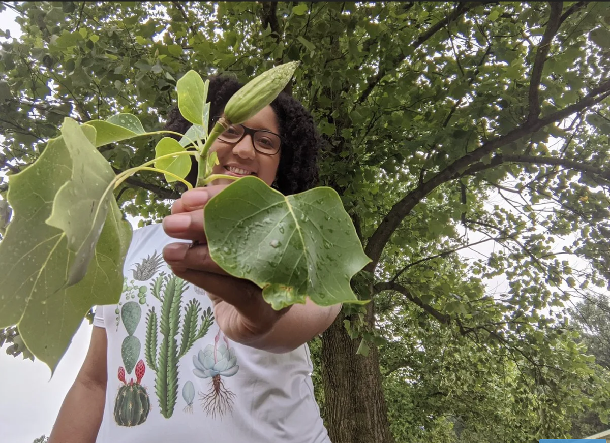 hood_naturalist's tweet photo. EVERYONE!!!! Stop what youโre doing & make your life better by following DYNAMITE plant biologist, @T_Marie_Wms!
Dr. Tanisha travels the globe looking for all kinds of plants and shares her love with the world! She even started the #BlackBotanistsWeekMovement!
#BlackWomenPhDs https://t.co/GpiOx1SOXz