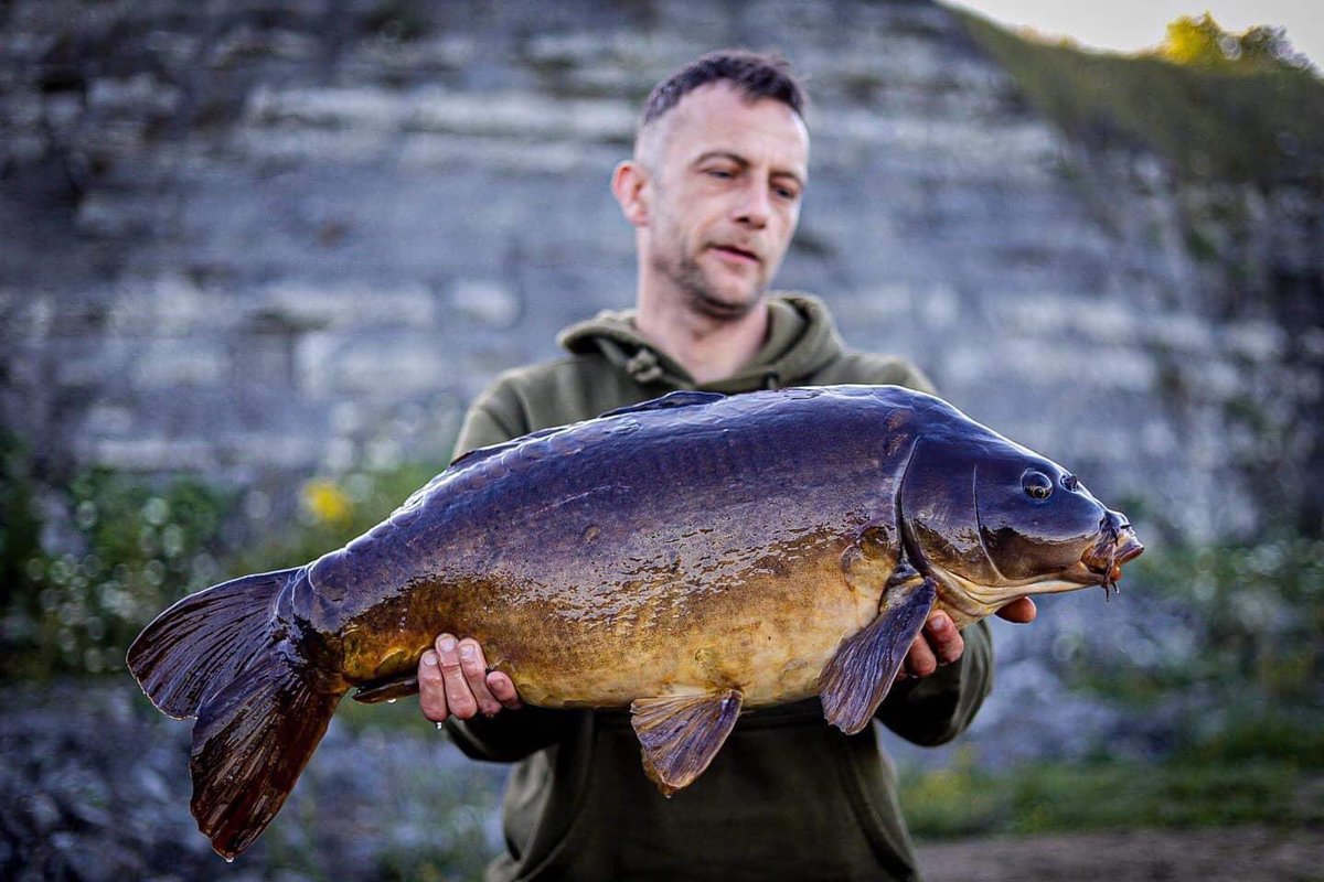 CarbonBaits's tweet photo. James Beeny had this cracking old and dark 24lb mirror from bishop bowl fishery, greenhills lake, caught over a large bed of hemp and maize with added tiger nuts.
.
.
#carbonbaits #hasslefree #particle #hemp #maize #tigers #minimix #partimix #hookbaits #carpy #angling https://t.co/fw80WkV0fh