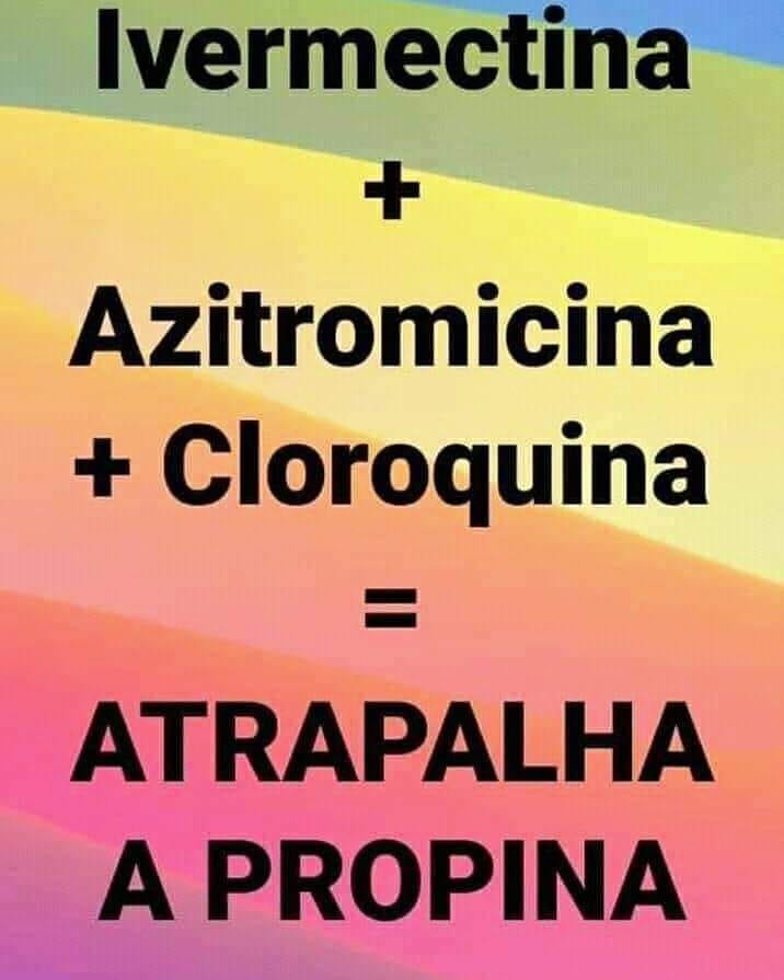 GisaTaOquei's tweet photo. #BolsonaroTemRazão https://t.co/TY9ZnALm9u