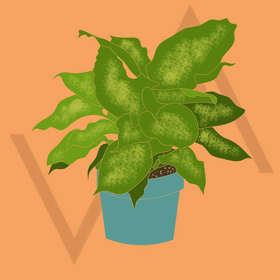 visualisarch's tweet photo. Diefembaquia https://t.co/bjqJIDLsPN