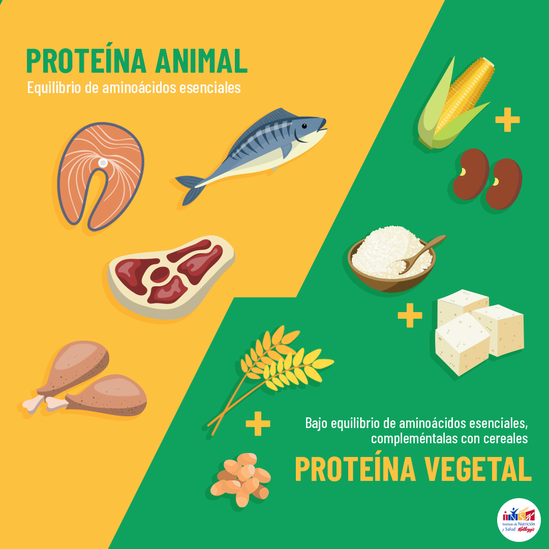 INSK al Twitter: "Las proteínas de origen se consideran de alto valor por contar con casi los aminoácidos esenciales. En el caso de proteínas de origen vegetal, podemos obtener
