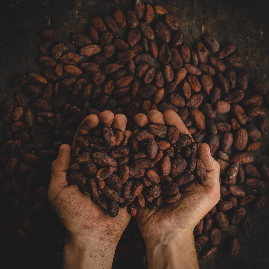 rucicoffee's tweet photo. Ruci is passionate about supporting our global coffee communities. We have dedicated ourselves to only using sustainably-sourced green beans! https://t.co/wk6zLvoCzk