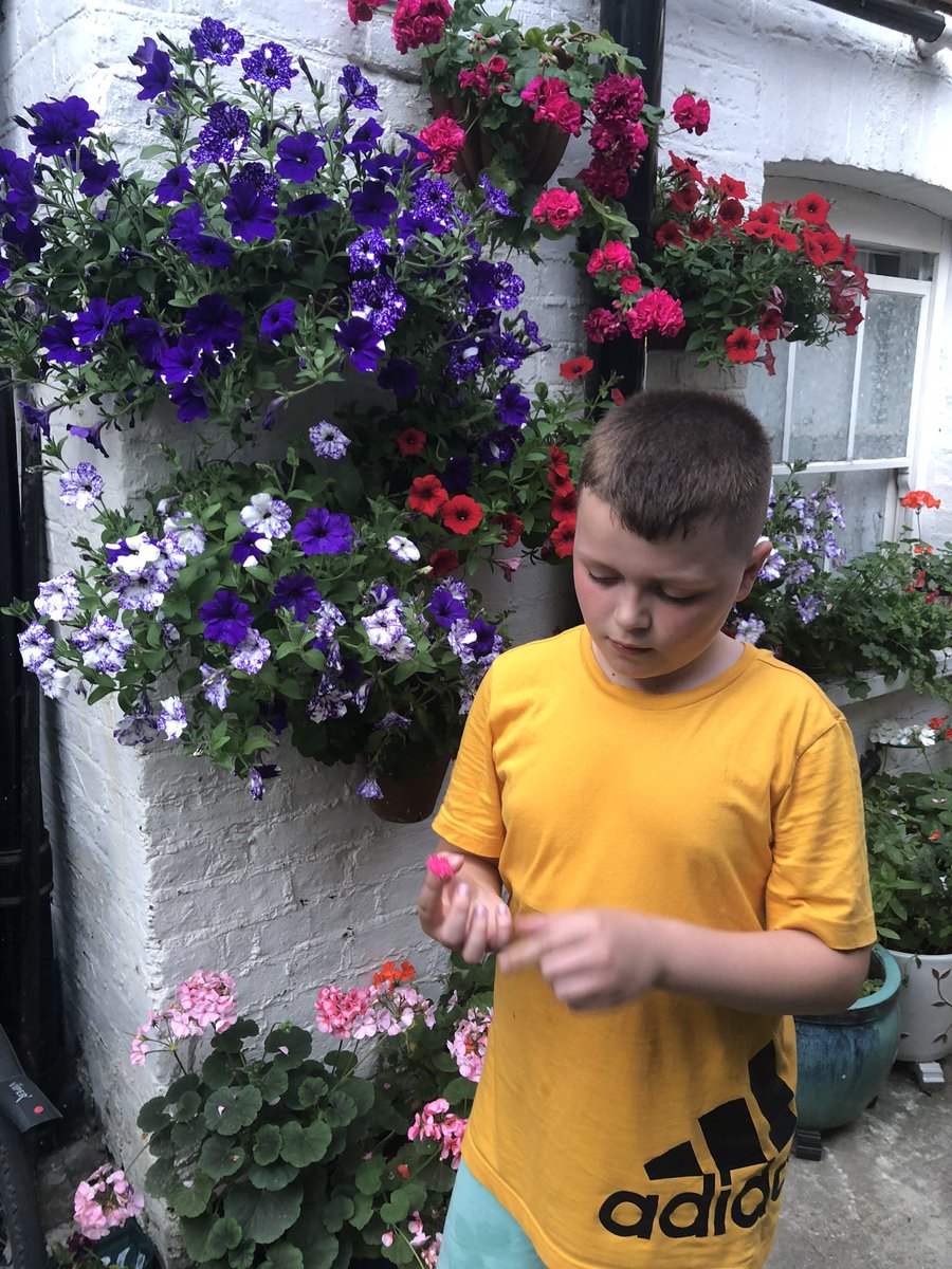 Marioara Iacoban (@marioaraiacoba1) on Twitter photo 