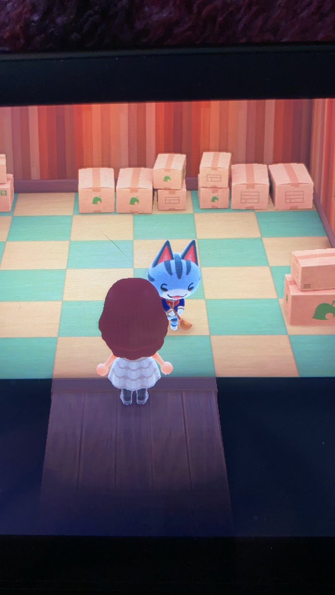Acnh_Derry_'s tweet photo. Lolly is in boxes if anyone wants her! I’m looking for NMT’s! #acnhvillagerinboxes #acnhvillagertrade #acnhtrades #acnh https://t.co/2eOCw8bRSi