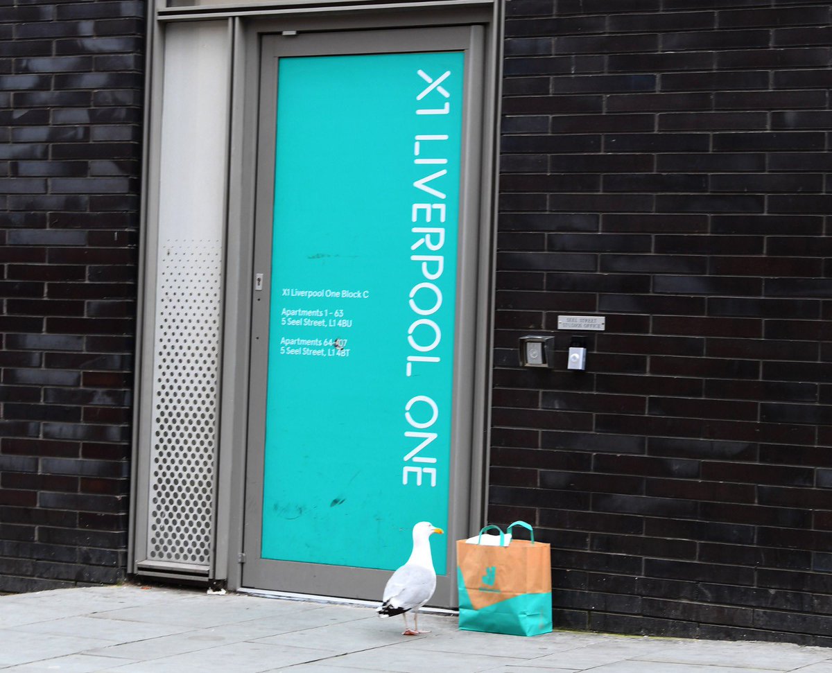 A seagull stealing a Deliveroo in Liverpool city centre is possibly the greatest modern day photo series ever captured  by  @andyteebaypics