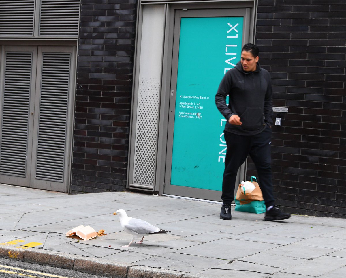 A seagull stealing a Deliveroo in Liverpool city centre is possibly the greatest modern day photo series ever captured  by  @andyteebaypics