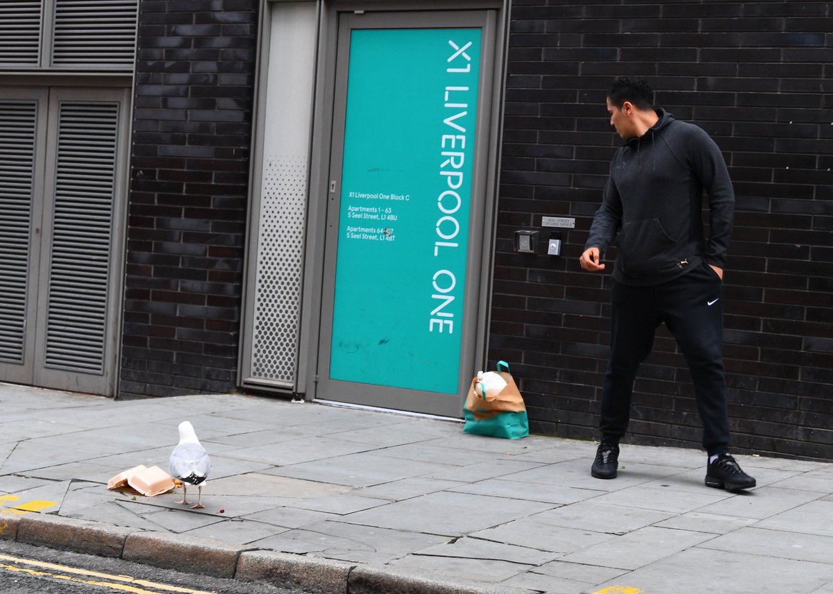 A seagull stealing a Deliveroo in Liverpool city centre is possibly the greatest modern day photo series ever captured  by  @andyteebaypics