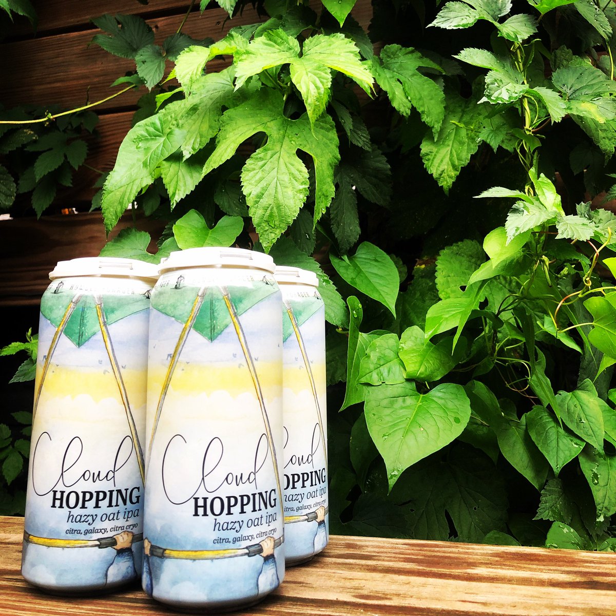 HumbleForager's tweet photo. For those in the #rochmn area, youβll be pleased to know that Cloud Hopping is now available @hyvee @pfccoop and @andysliquor Marketplace. Cheers!
#cloudhopping #newbeer #craftbeer #humbleforagerbrewery #humbleforager #mncraftbeer #wisconsincraftbeer #wisbeer #wisbeerwednesday https://t.co/l0SoU9OPIg
