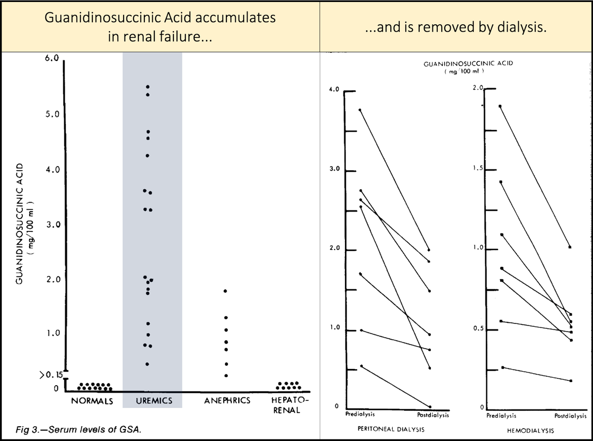 8/Key points about guanidinosuccinic acid (GSA):It accumulates in renal failureIs removed by dialysis[Note: though not all studies agree, dialysis is generally felt to mitigate platelet dysfunction by removal of a toxin.] https://pubmed.ncbi.nlm.nih.gov/5475708/ 