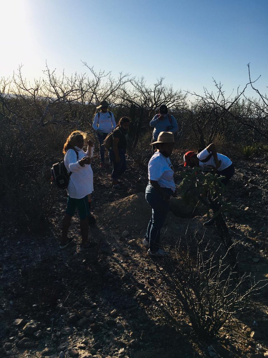 BÚSQUEDA POSITIVA EN LA PAZ, BAJA CALIFORNIA SUR LOCALIZACIÓN DE RESTOS HUMANOS TRABAJO EN CONJUNTO DEL COLECTIVO #BusquedaxLaPaz, #ComisionNacionalDeBusquedaBCS, Y ACOMPAÑAMIENTO DE GUARDIA NACIONAL / LA MARINA. <a href="/Busqueda_MX/">Comisión Nal. de Búsqueda Mx</a> <a href="/BuscandoGustavo/">Maite Diaz</a> <a href="/Fam_Busqueda/">Familias en Búsqueda</a> <a href="/sangrederebelde/">🇲🇽 Colectivo De Búsqueda SangreDeRebelde🇲🇽</a>
