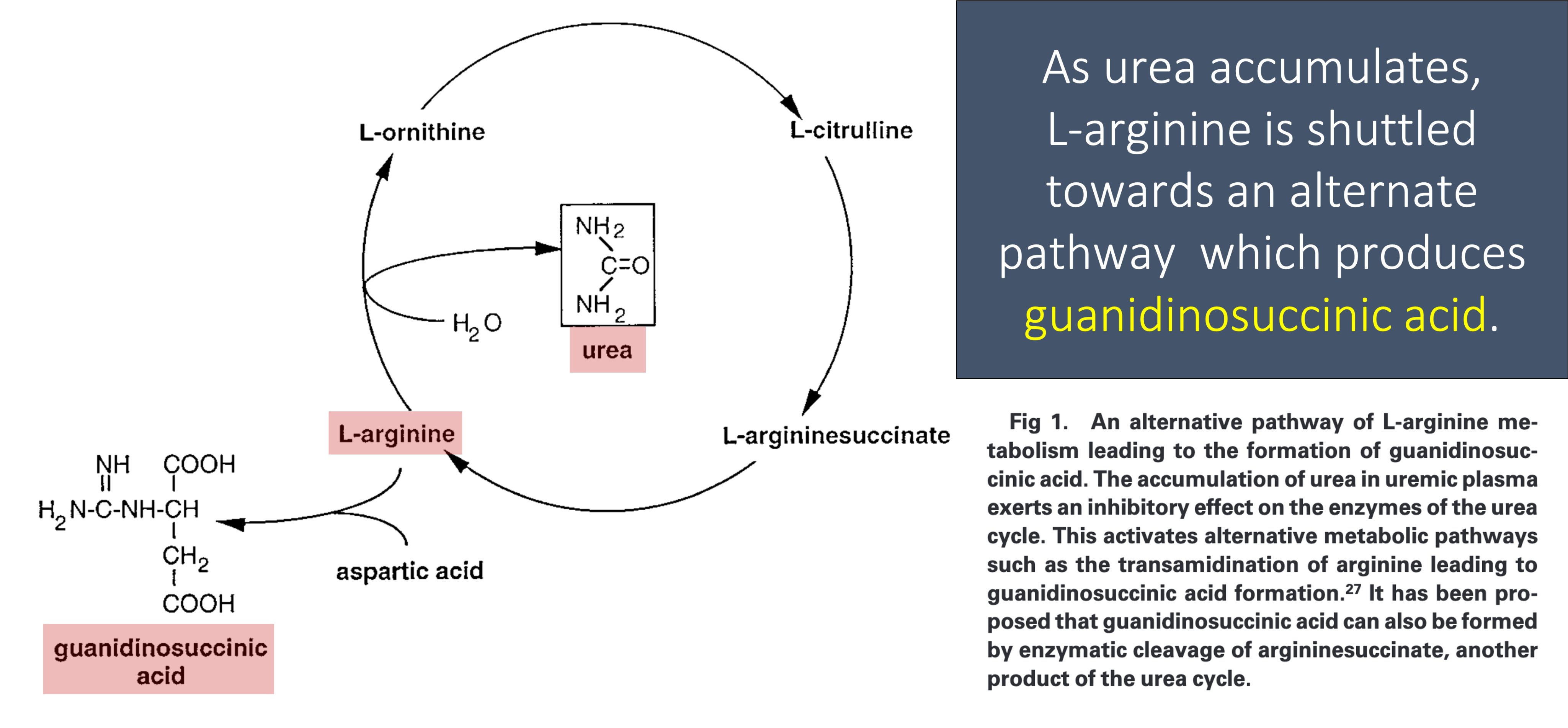 Urea Ammonia Assay Kit Measurement Of Urea And Ammonia