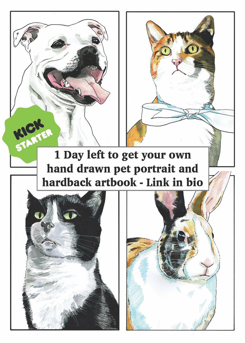 NickGribbon's tweet photo. 1 day left of my Kickstarter to get your 16” x 12” pet portrait commission, and artbook featuring your pet. Fully Funded.
https://t.co/02Pq07ILBc
#petportrait #artbook #Kickstarter #artwork #dog #cat #rabbit #pets #commission #portrait #handdrawn #illustration @kickstarter https://t.co/O6Wtg7gsBj