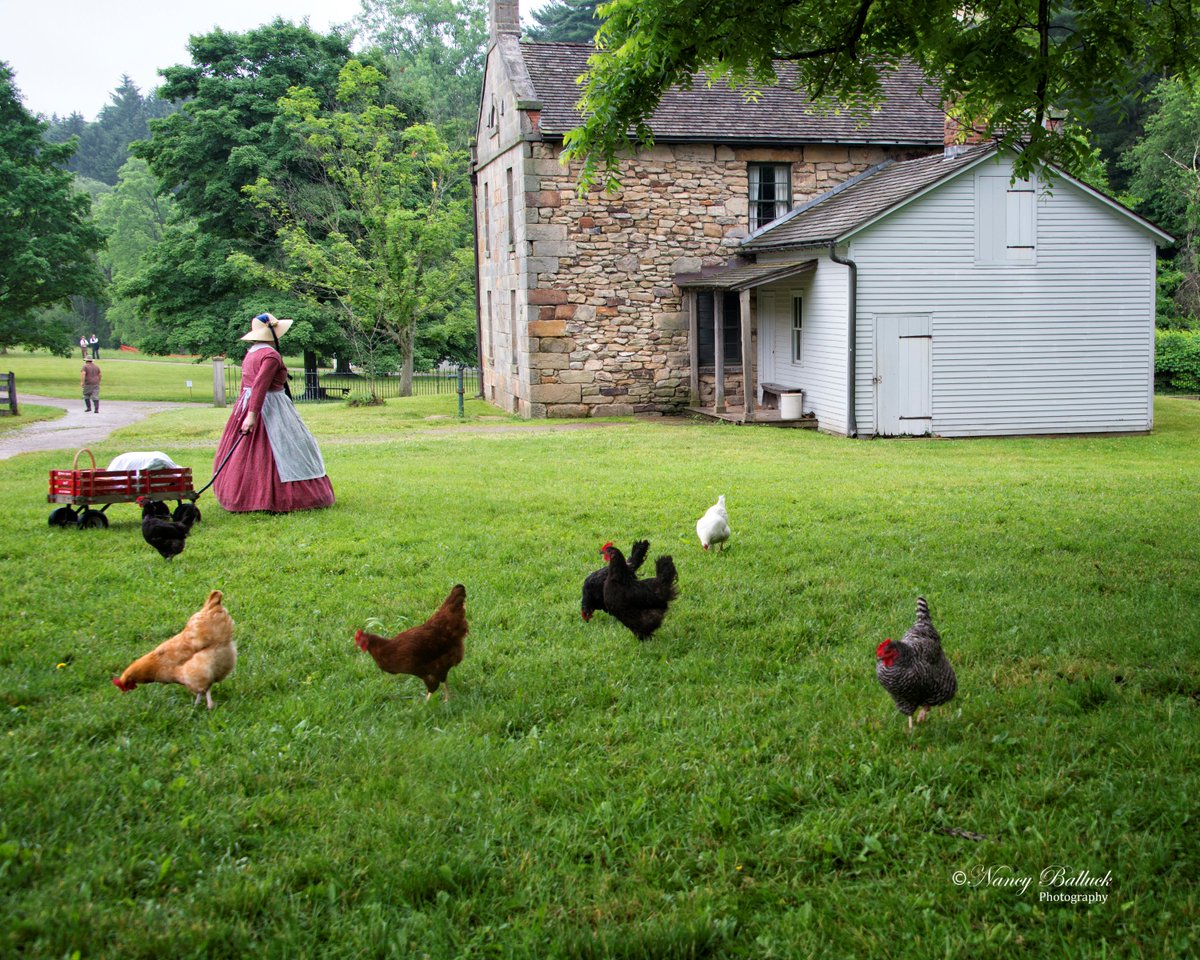 HaleFarm's tweet photo. Situated on nearly 100 acres in the Cuyahoga Valley Hale Farm offers a unique and safe outdoor experience for your family this summer! Experience, Explore &amp; Celebrate with us Thursday - Saturday during July and August!
https://t.co/PA3A0Skm5i
#halefarm #NEOhistory #outdoorfun https://t.co/GbjFpGntIy