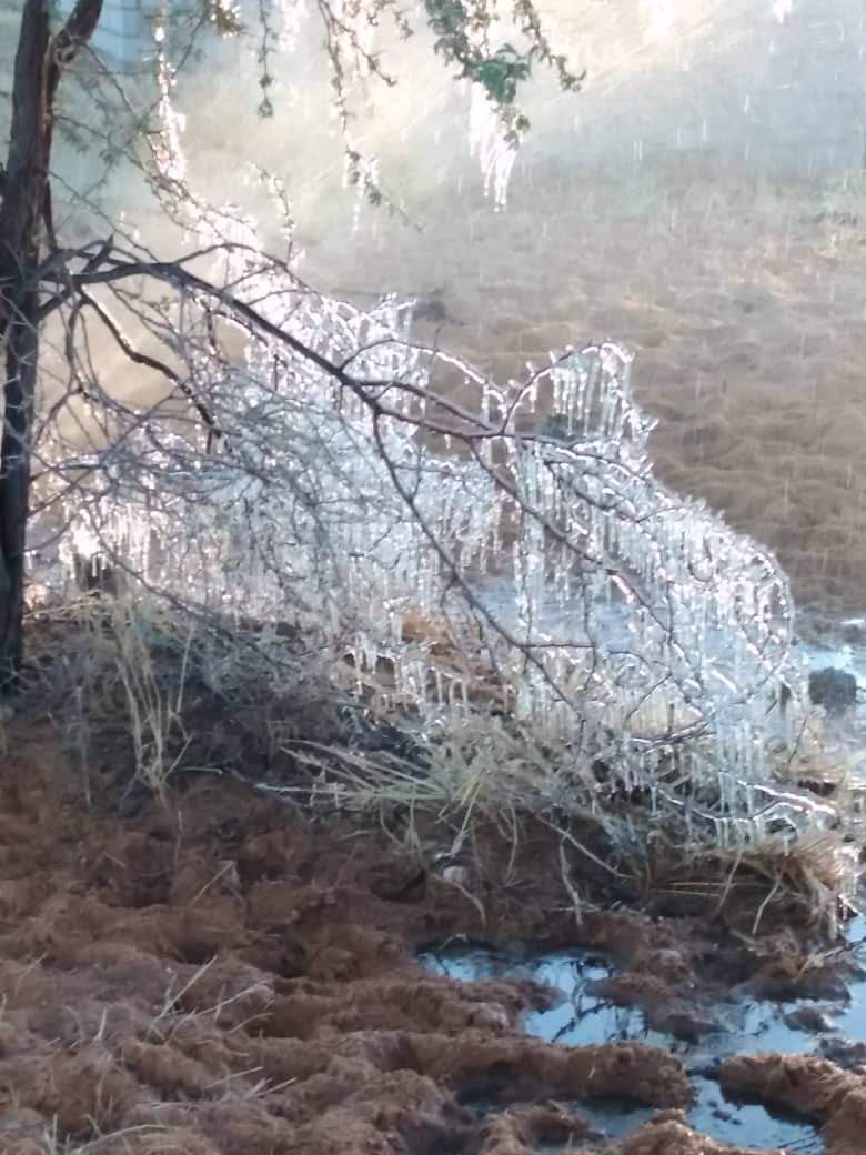 Welcome to my home village Tsabong, today phakela