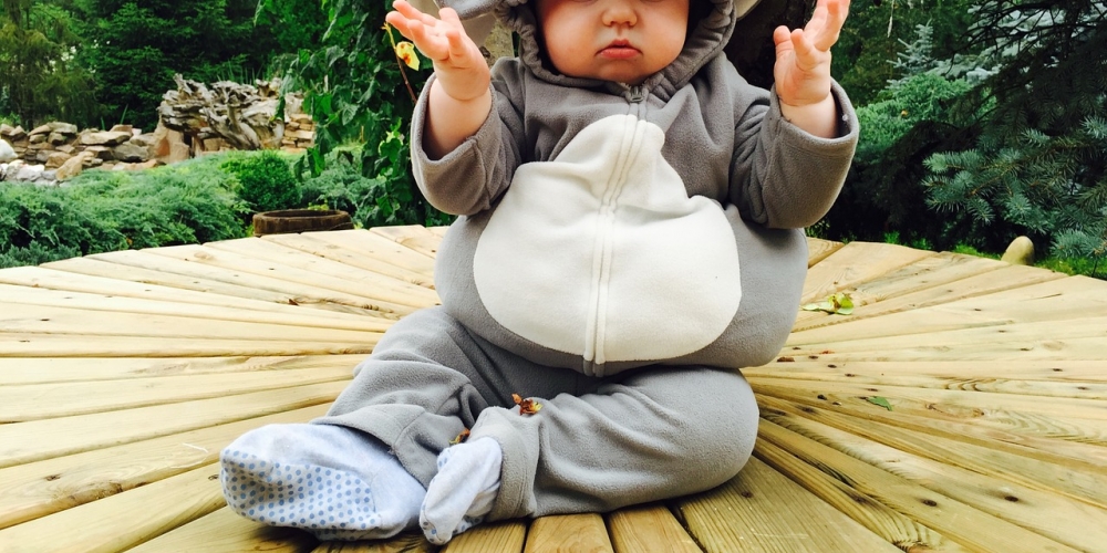Who likes it? WOW

#dacha #elephant #kids 
#kidsoutdoors #kidsoftheoutdoors #outdoorskids #getkidsoutdoors #kidsloveoutdoors #kidnoutdoors