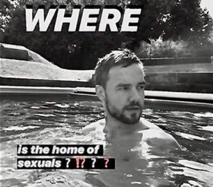 my favorite liam payne memes: a long thread