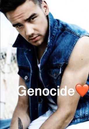my favorite liam payne memes: a long thread