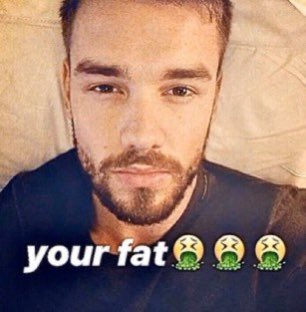 my favorite liam payne memes: a long thread