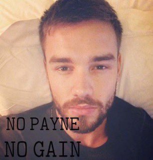 my favorite liam payne memes: a long thread