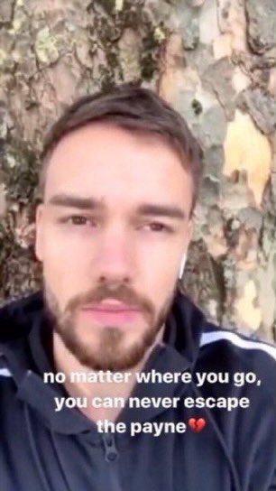 my favorite liam payne memes: a long thread