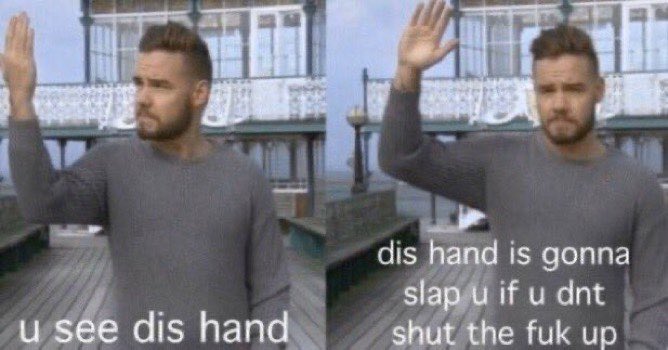 my favorite liam payne memes: a long thread