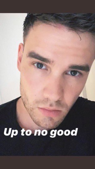 my favorite liam payne memes: a long thread