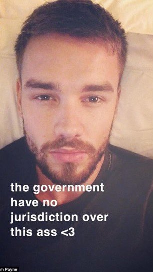 my favorite liam payne memes: a long thread