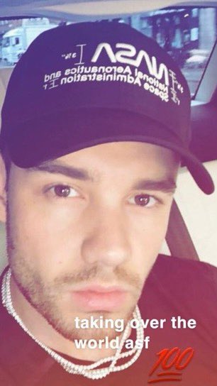 my favorite liam payne memes: a long thread