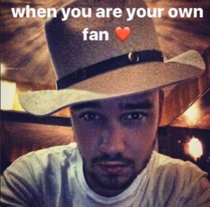 my favorite liam payne memes: a long thread