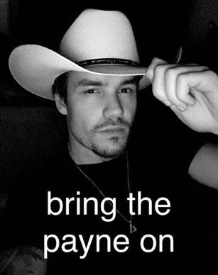 my favorite liam payne memes: a long thread
