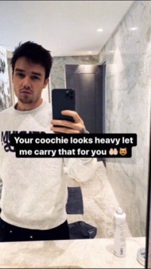 my favorite liam payne memes: a long thread